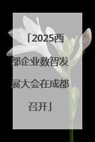 2025西部企业数智发展大会在成都召开